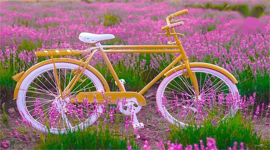 微信圖片_20221215164956.jpg 微信圖片_20221215164956.jpg